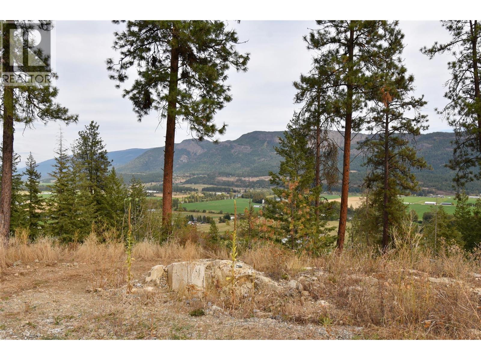 225 Crooked Pine Road, Enderby, British Columbia  V0E 1V1 - Photo 5 - 10340890