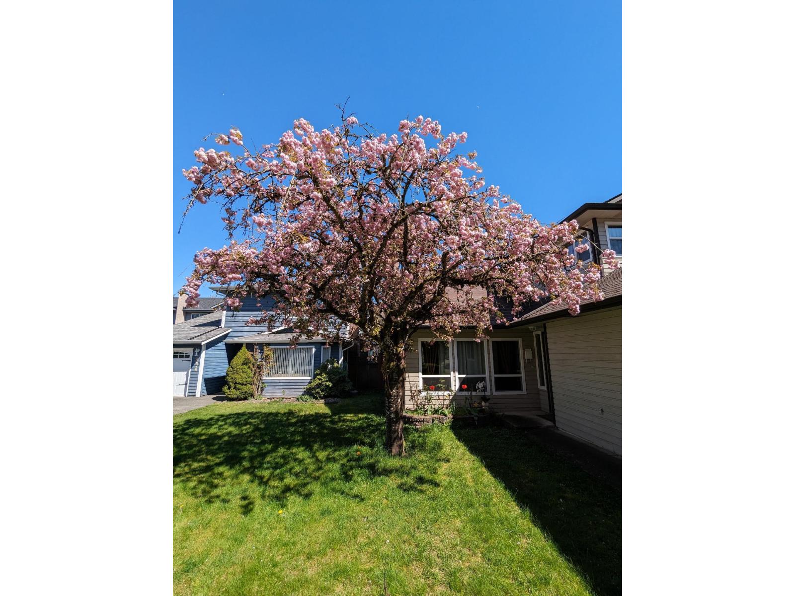 9674 155a Street, Surrey, British Columbia V3R 7N8 - Photo 29 - R3050523