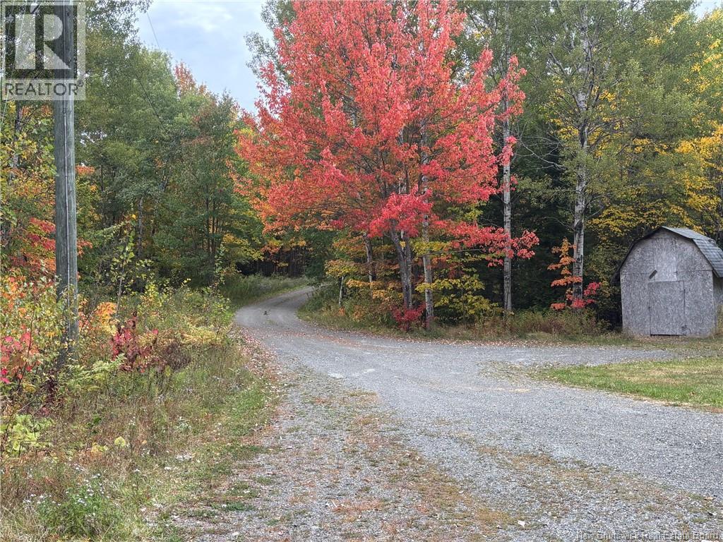 46884 Homestead Road, Steeves Mountain, New Brunswick  E1G 4P1 - Photo 28 - NB127278