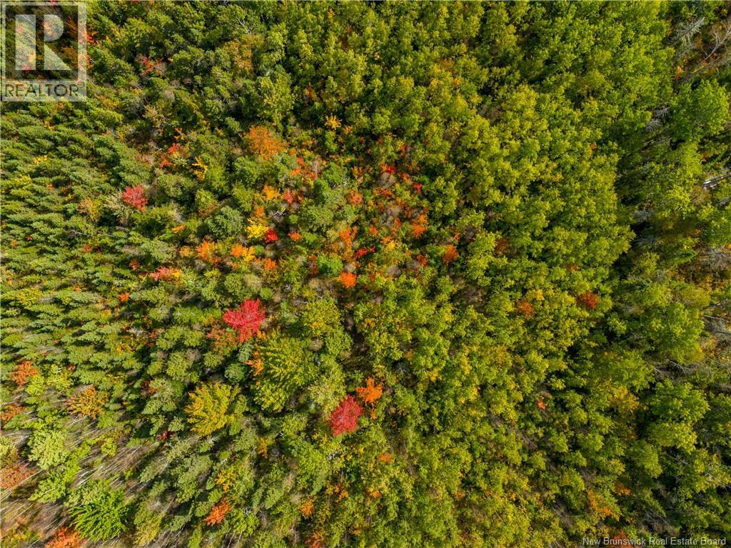 Lot 24-1 Route 134, Grande-Digue, New Brunswick  E4R 5J3 - Photo 6 - NB127315