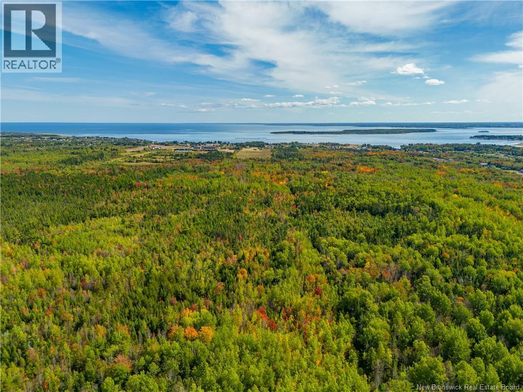 Lot 24-1 Route 134, Grande-Digue, New Brunswick  E4R 5J3 - Photo 3 - NB127315