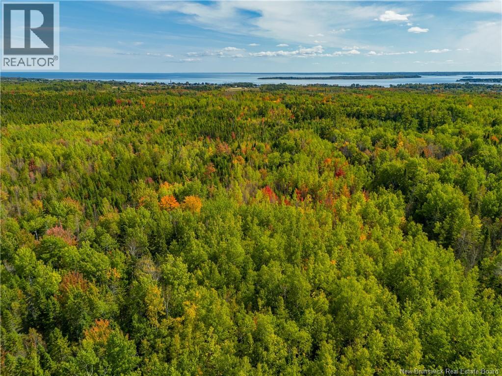Lot 24-1 Route 134, Grande-Digue, New Brunswick  E4R 5J3 - Photo 7 - NB127315