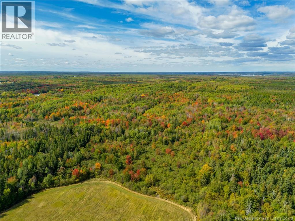 Lot 24-2 Route 134, Grande-Digue, New Brunswick  E4R 5C8 - Photo 13 - NB127322
