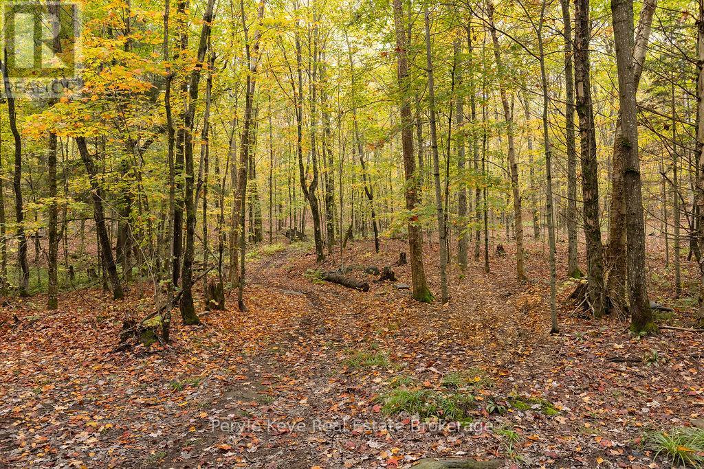 1108 Skyline Drive, Armour, Ontario  P0A 1C0 - Photo 50 - X12431437