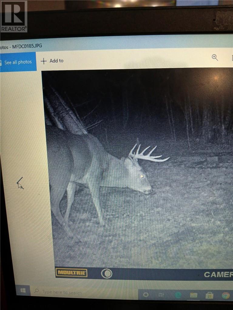 597 Dokis Reserve Road, Monetville, Ontario  P0M 2K0 - Photo 48 - 2124912