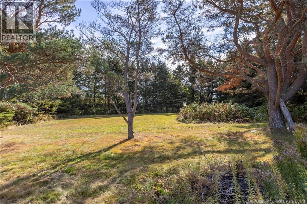 31 Walker Road, Sackville, New Brunswick  E4L 3K4 - Photo 37 - NB127435