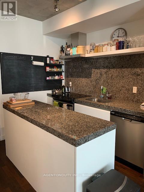 308 - 75 Portland Street, Toronto, Ontario  M5V 2M9 - Photo 10 - C12431435
