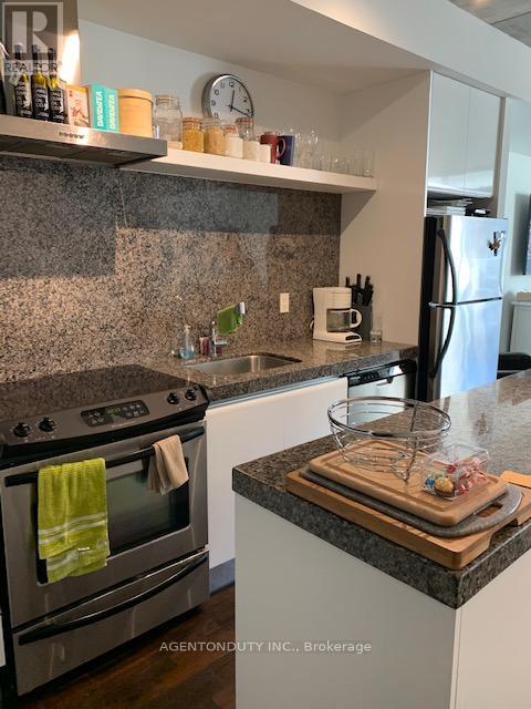 308 - 75 Portland Street, Toronto, Ontario  M5V 2M9 - Photo 9 - C12431435
