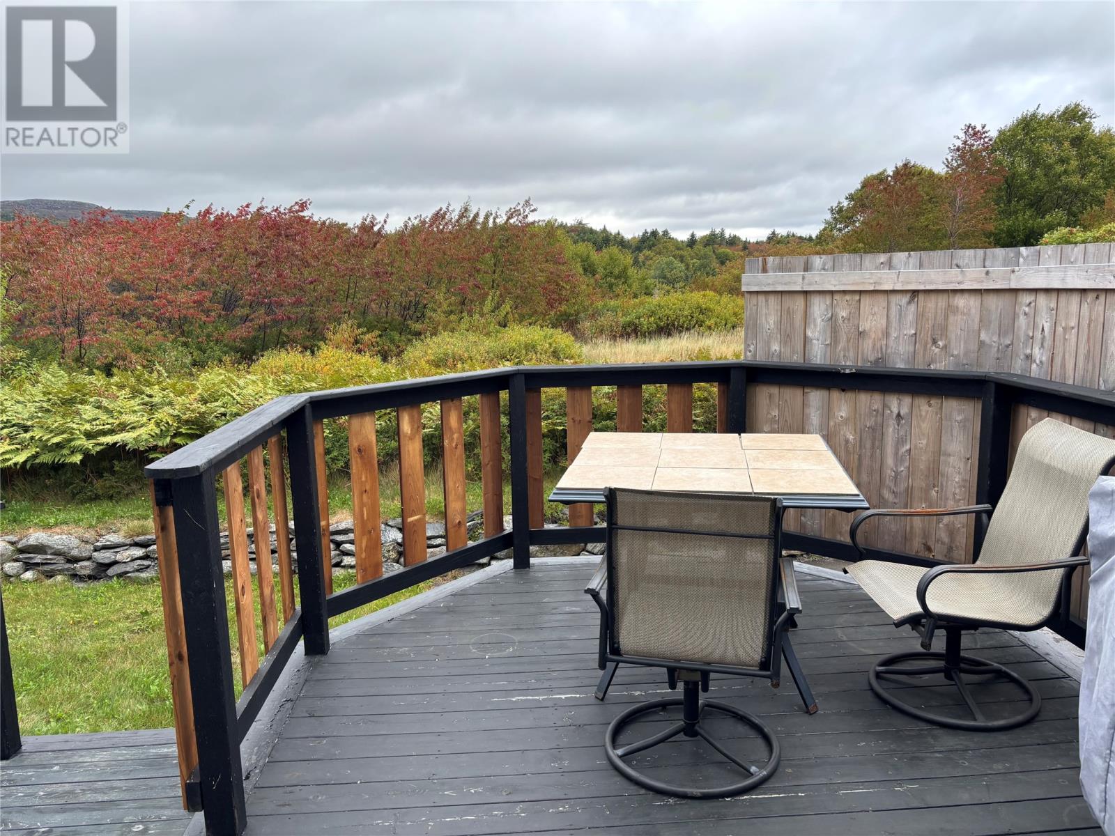 56 Birchcliff Drive, Salmon Cove, Newfoundland & Labrador  A0A 3S0 - Photo 38 - 1290970