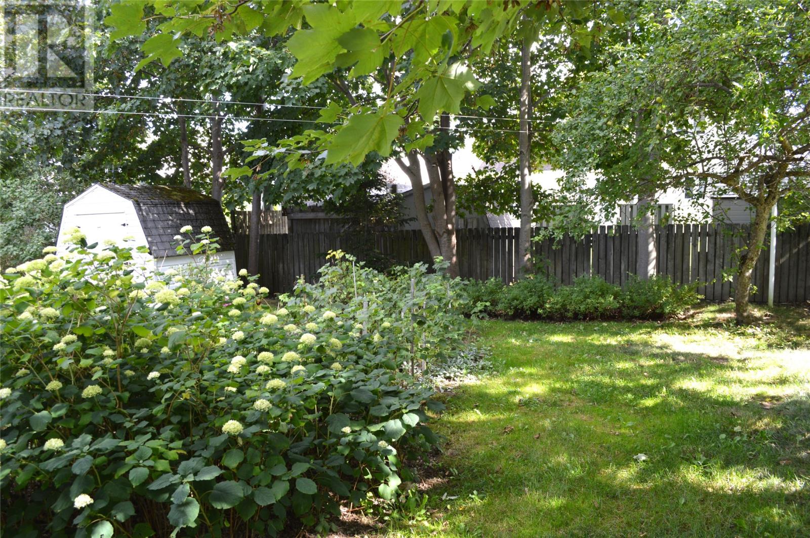 33 Cedar Drive, St. John's, Newfoundland & Labrador  A1A 4X4 - Photo 35 - 1290691