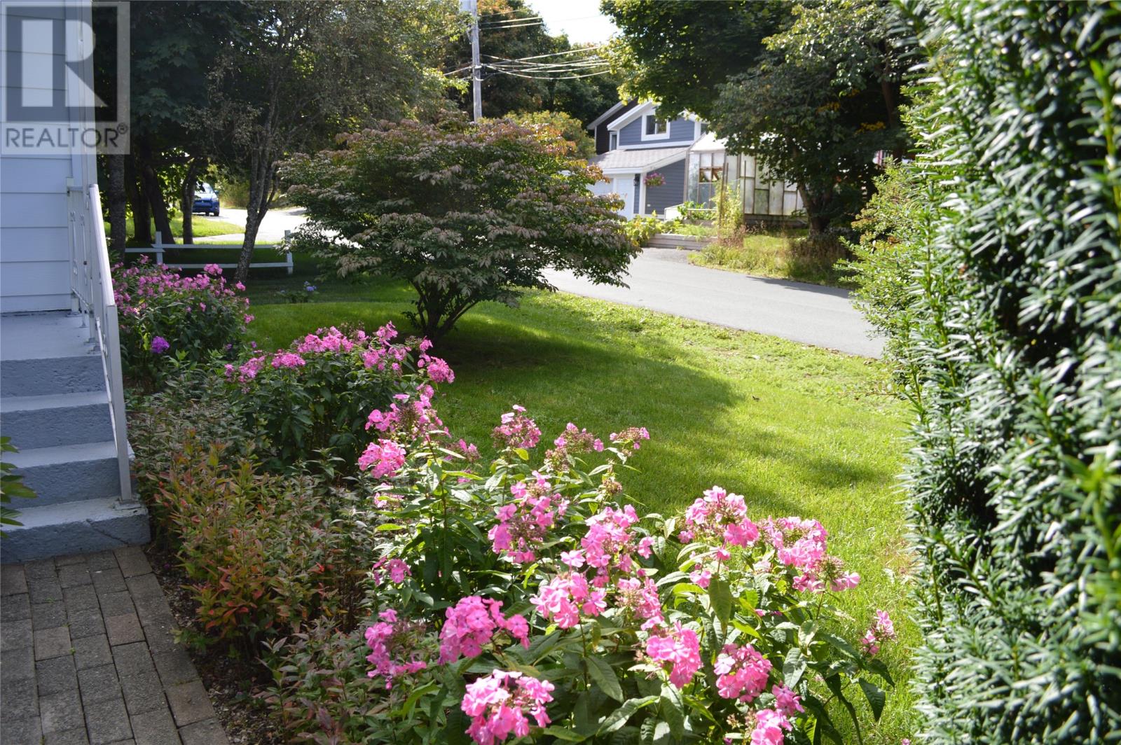 33 Cedar Drive, St. John's, Newfoundland & Labrador  A1A 4X4 - Photo 4 - 1290691