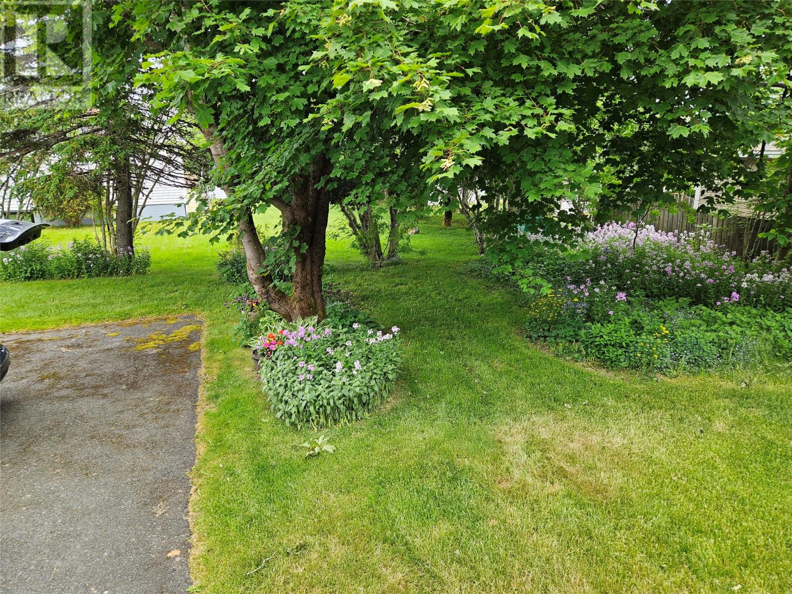33 Cedar Drive, St. John's, Newfoundland & Labrador  A1A 4X4 - Photo 42 - 1290691