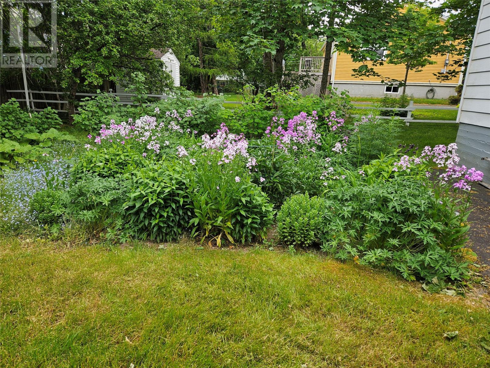 33 Cedar Drive, St. John's, Newfoundland & Labrador  A1A 4X4 - Photo 44 - 1290691