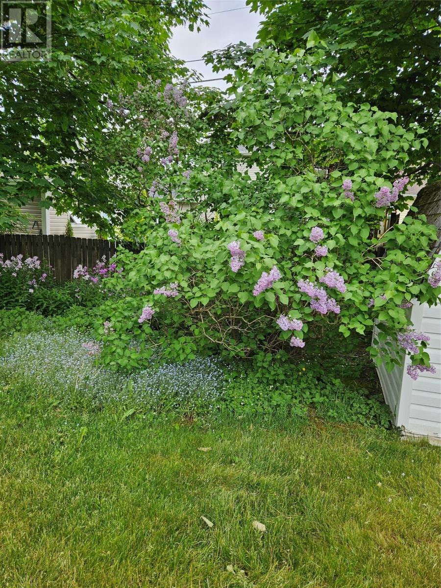33 Cedar Drive, St. John's, Newfoundland & Labrador  A1A 4X4 - Photo 45 - 1290691