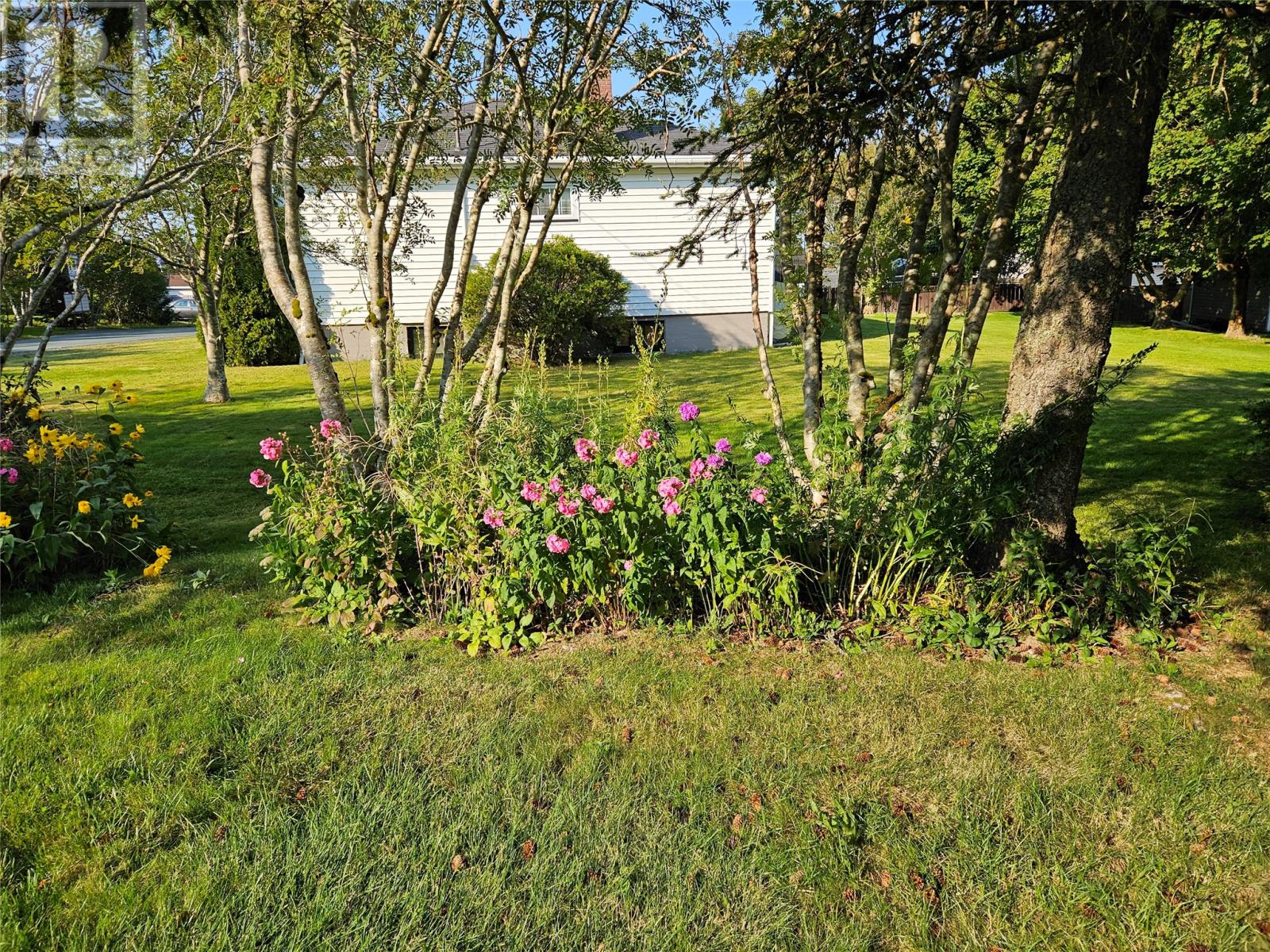 33 Cedar Drive, St. John's, Newfoundland & Labrador  A1A 4X4 - Photo 46 - 1290691