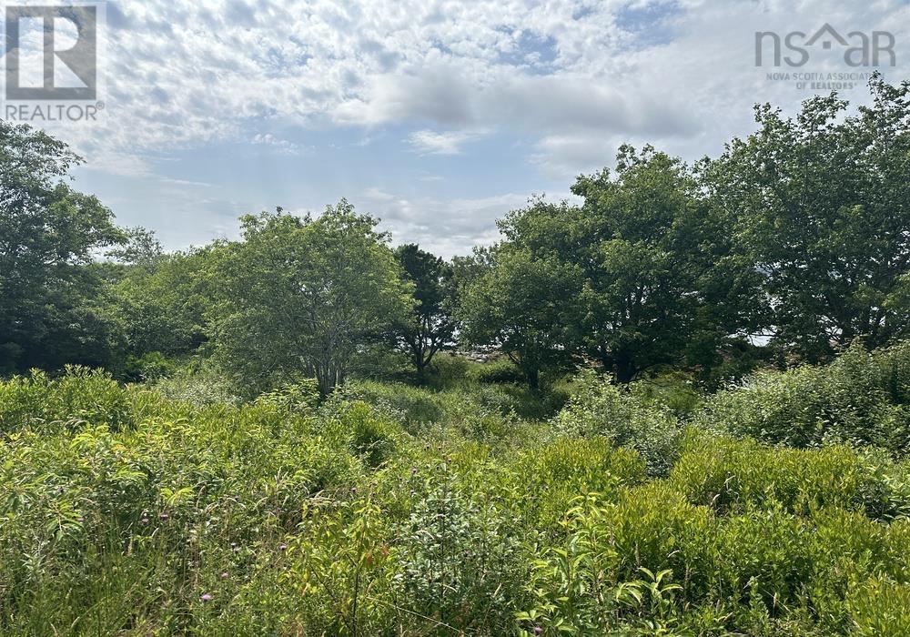 Lot 39 Sandy Point Road, Sandy Point, Nova Scotia  B0T 1W0 - Photo 5 - 202524539