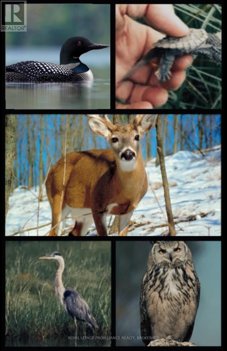 111 Big Hill Road, Front Of Leeds & Seeleys Bay, Ontario  K0H 2N0 - Photo 49 - X12431518