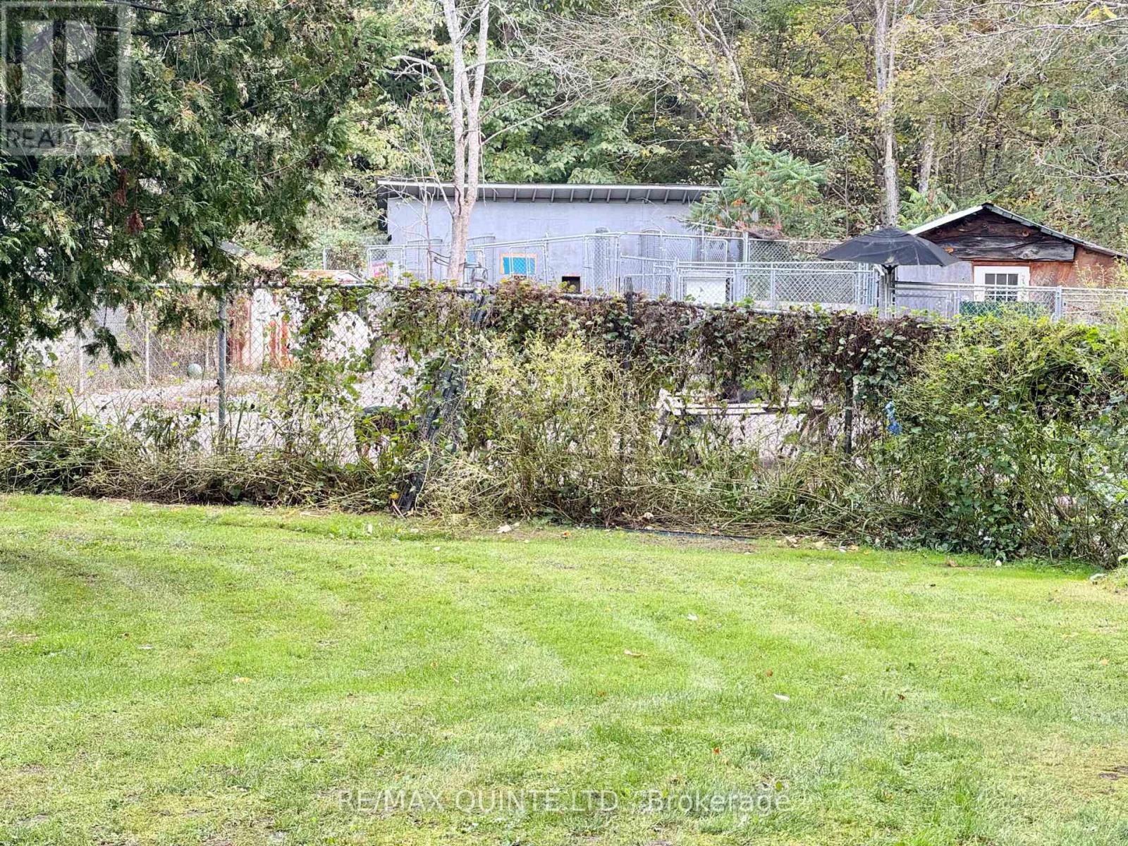 109006 Hwy 7 Highway, Tweed (Elzevir (Twp)), Ontario  K0K 3J0 - Photo 6 - X12431528