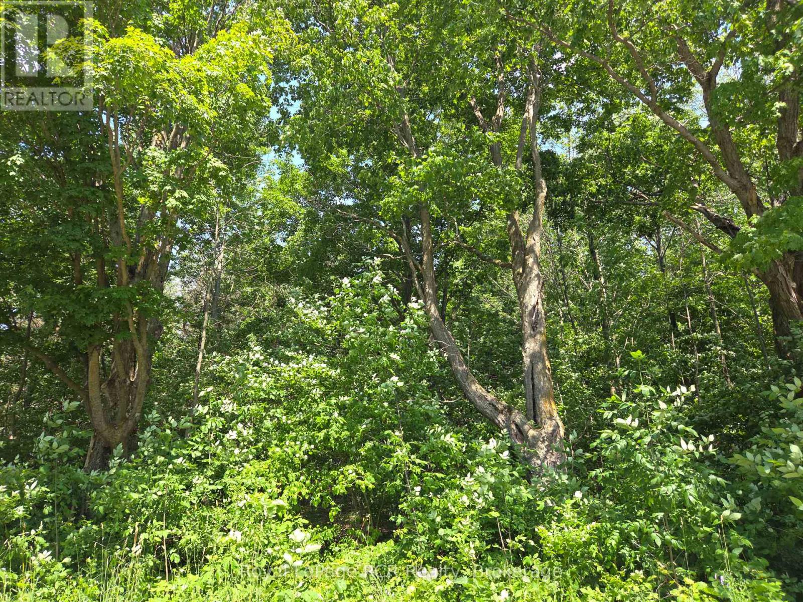 Lt12&13 Simpson Street, Grey Highlands, Ontario  N0C 1E0 - Photo 2 - X12274277