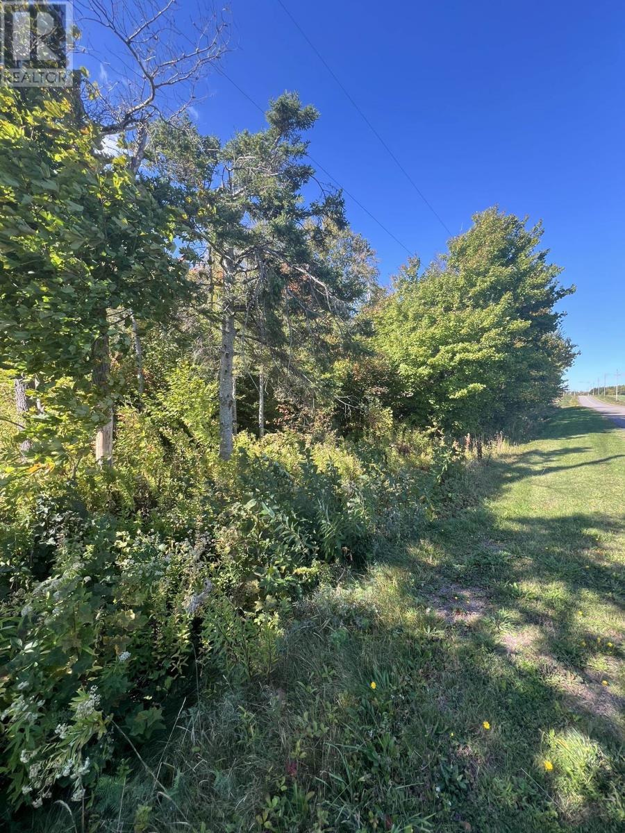 Lot 1479 North Royalty Road, Cardigan, Prince Edward Island  C0A 1L0 - Photo 1 - 202524551
