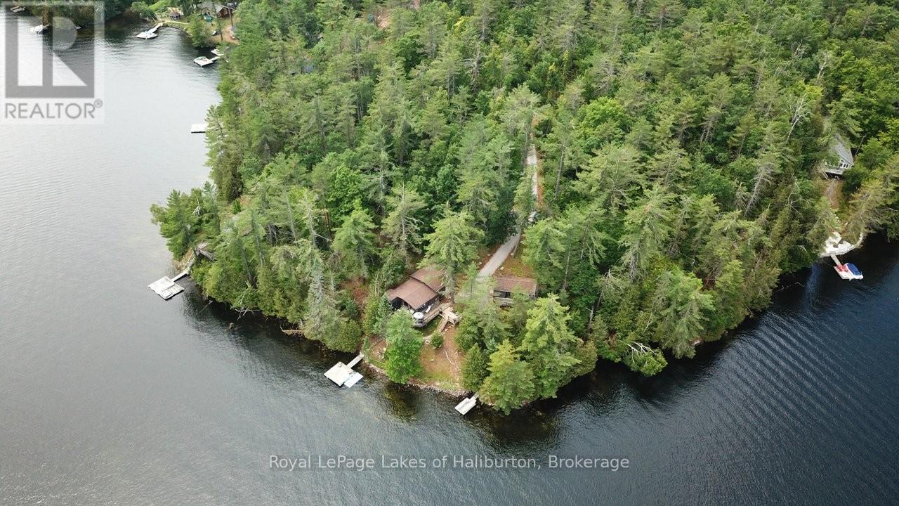 102 Fire Route 364a Route, Trent Lakes, Ontario  K0M 2A0 - Photo 36 - X12401996