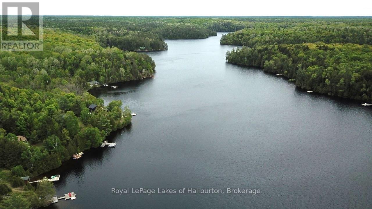 25 Fire Route 330 Drive, Trent Lakes, Ontario  K0M 1R0 - Photo 19 - X12404026