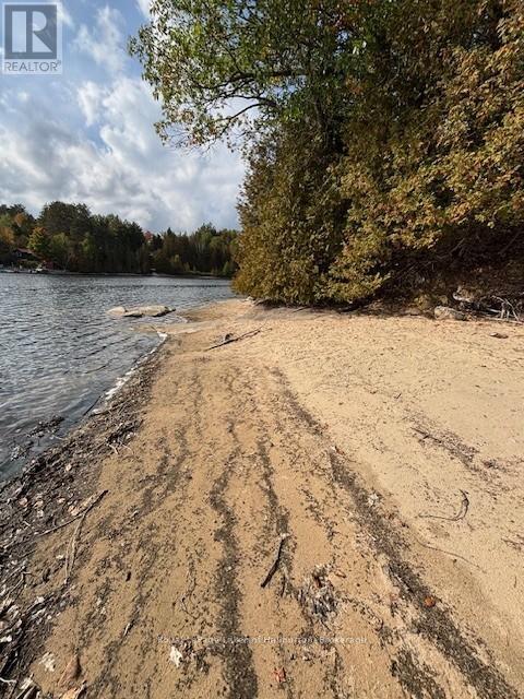 25 Fire Route 330 Drive, Trent Lakes, Ontario  K0M 1R0 - Photo 2 - X12404026
