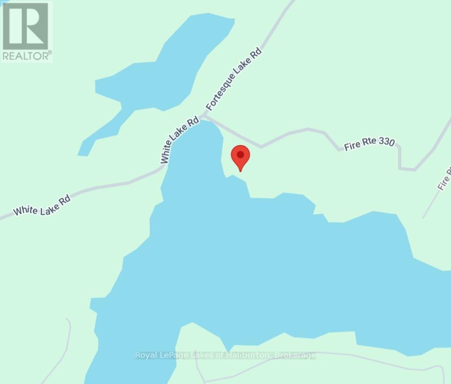 25 Fire Route 330 Drive, Trent Lakes, Ontario  K0M 1R0 - Photo 22 - X12404026