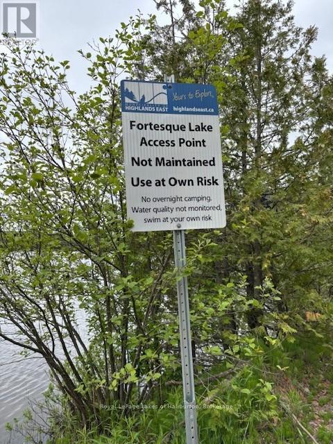 25 Fire Route 330 Drive, Trent Lakes, Ontario  K0M 1R0 - Photo 27 - X12404026