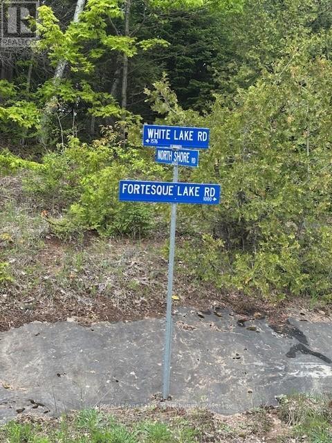 25 Fire Route 330 Drive, Trent Lakes, Ontario  K0M 1R0 - Photo 28 - X12404026