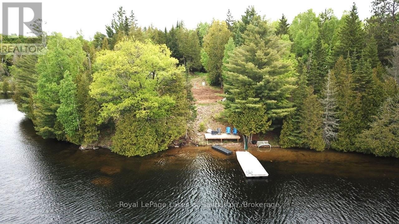 25 Fire Route 330 Drive, Trent Lakes, Ontario  K0M 1R0 - Photo 4 - X12404026