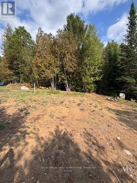 25 Fire Route 330 Drive, Trent Lakes, Ontario  K0M 1R0 - Photo 32 - X12404026