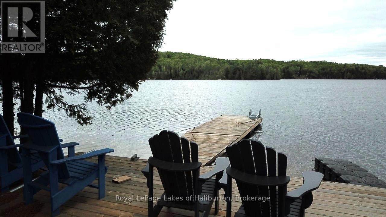 25 Fire Route 330 Drive, Trent Lakes, Ontario  K0M 1R0 - Photo 7 - X12404026