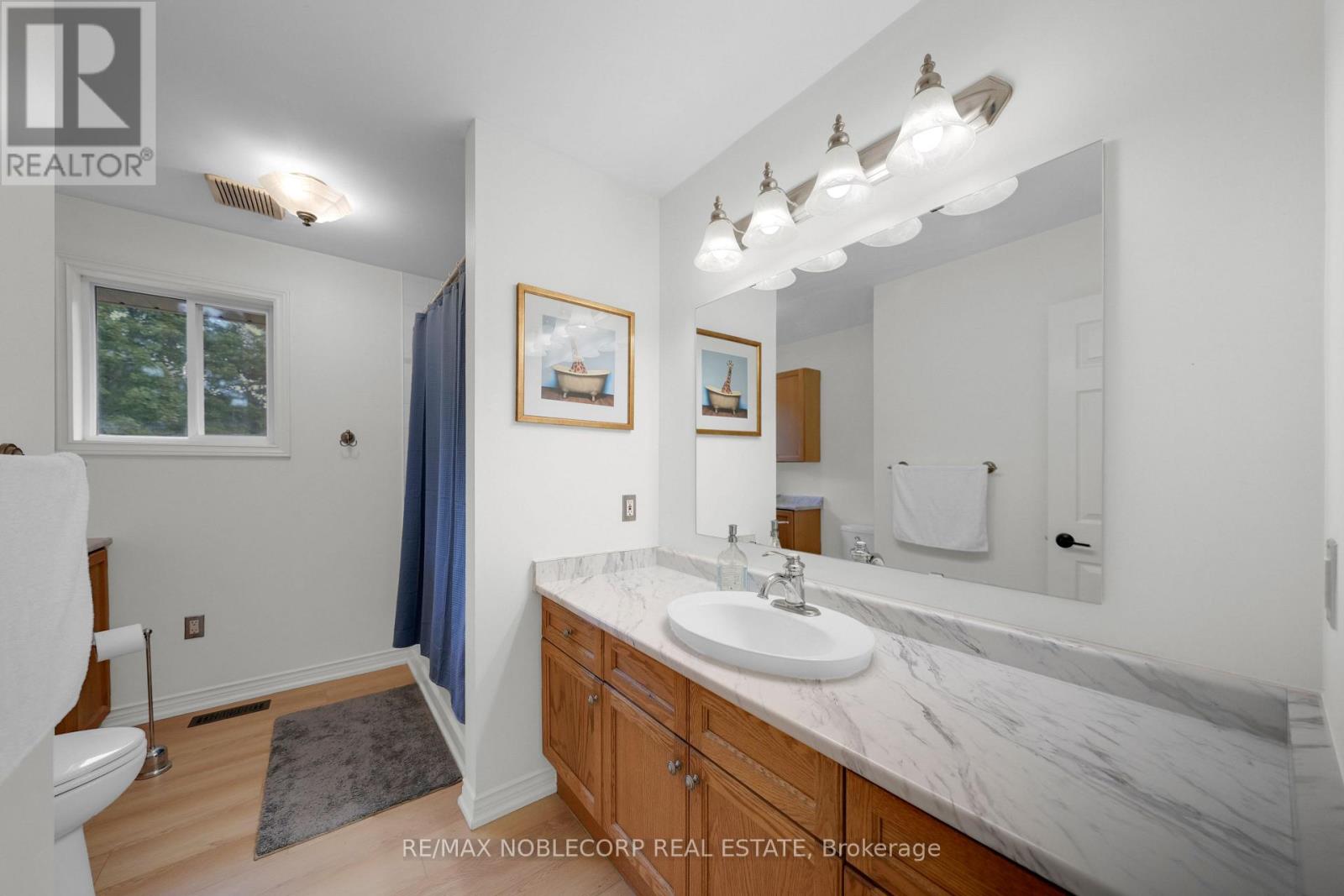 1 Dekker Street, Adjala-Tosorontio, Ontario  L0M 1J0 - Photo 20 - N12431661