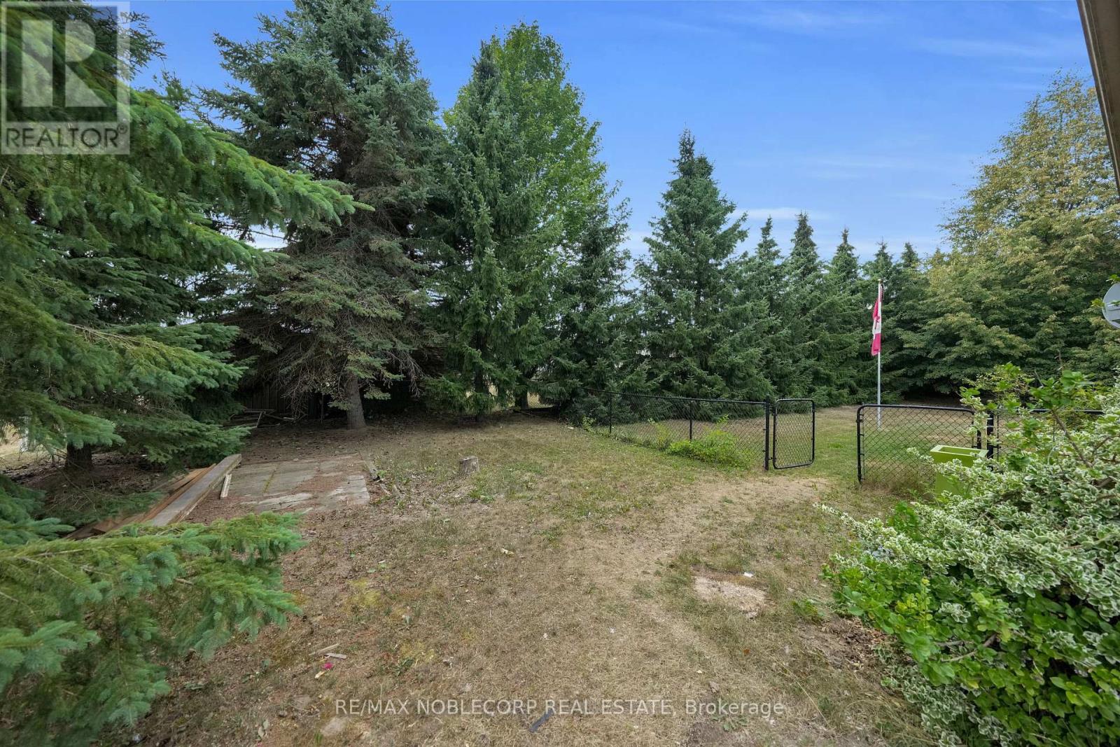 1 Dekker Street, Adjala-Tosorontio, Ontario  L0M 1J0 - Photo 37 - N12431661
