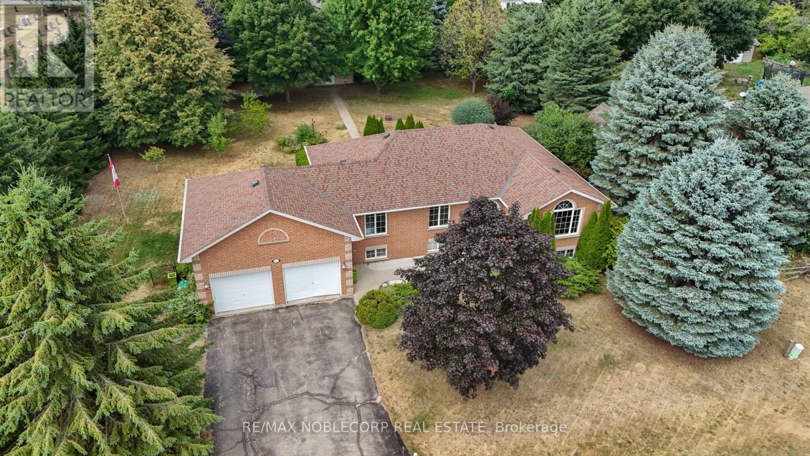 1 Dekker Street, Adjala-Tosorontio, Ontario  L0M 1J0 - Photo 5 - N12431661