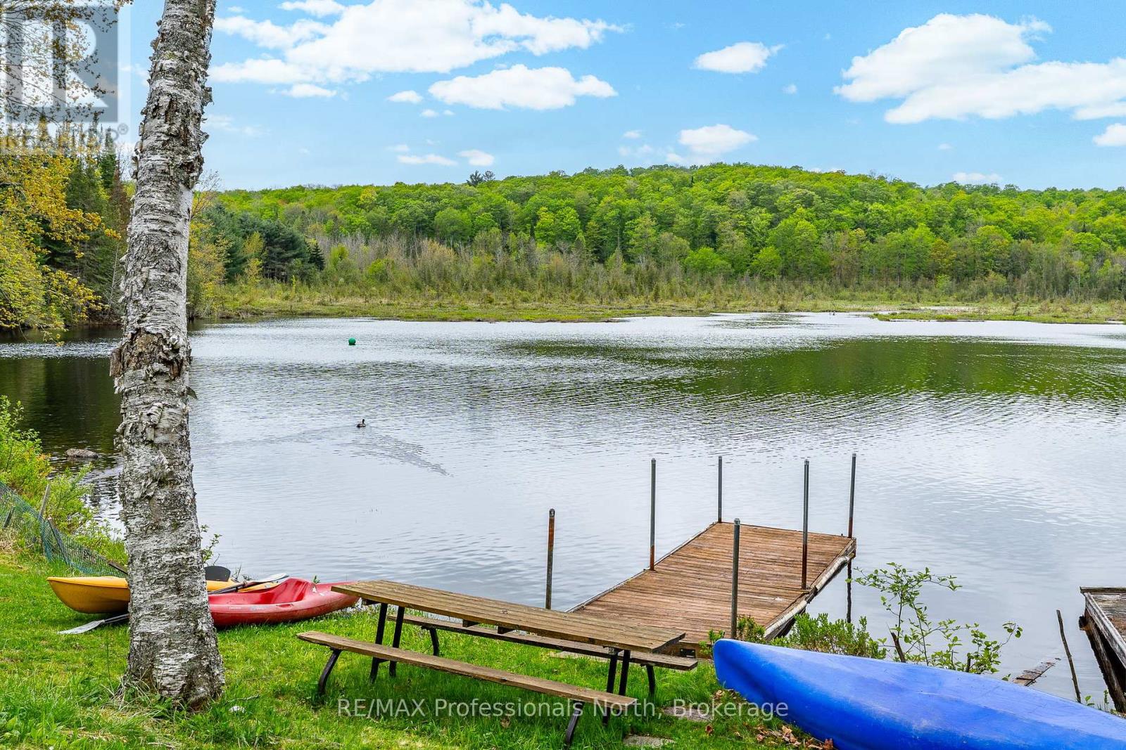 3539 County Road 21, Minden Hills, Ontario  K0M 1S0 - Photo 39 - X12431840
