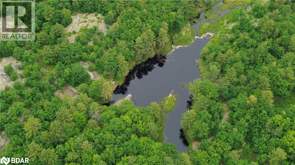 3950 Severn River Shore, Severn Bridge, Ontario  L0K 2B0 - Photo 34 - 40700195