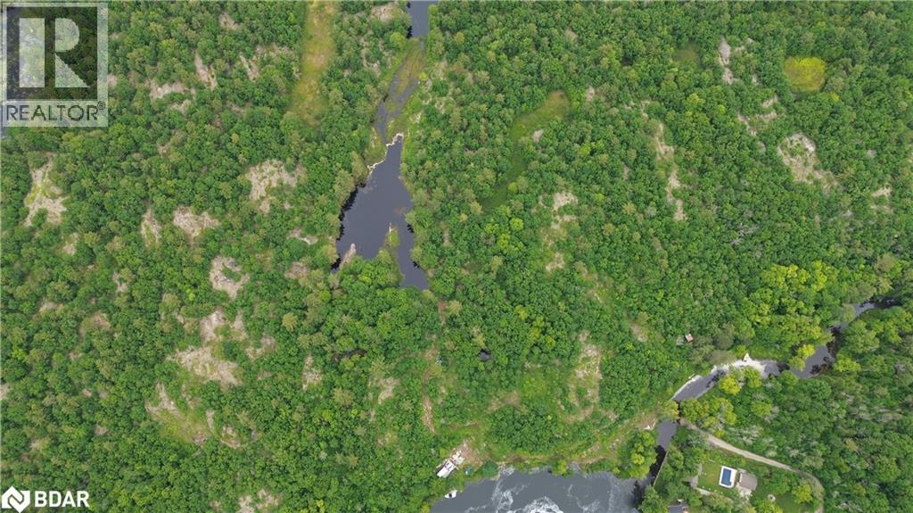 3950 Severn River Shore, Severn Bridge, Ontario  L0K 2B0 - Photo 39 - 40700195