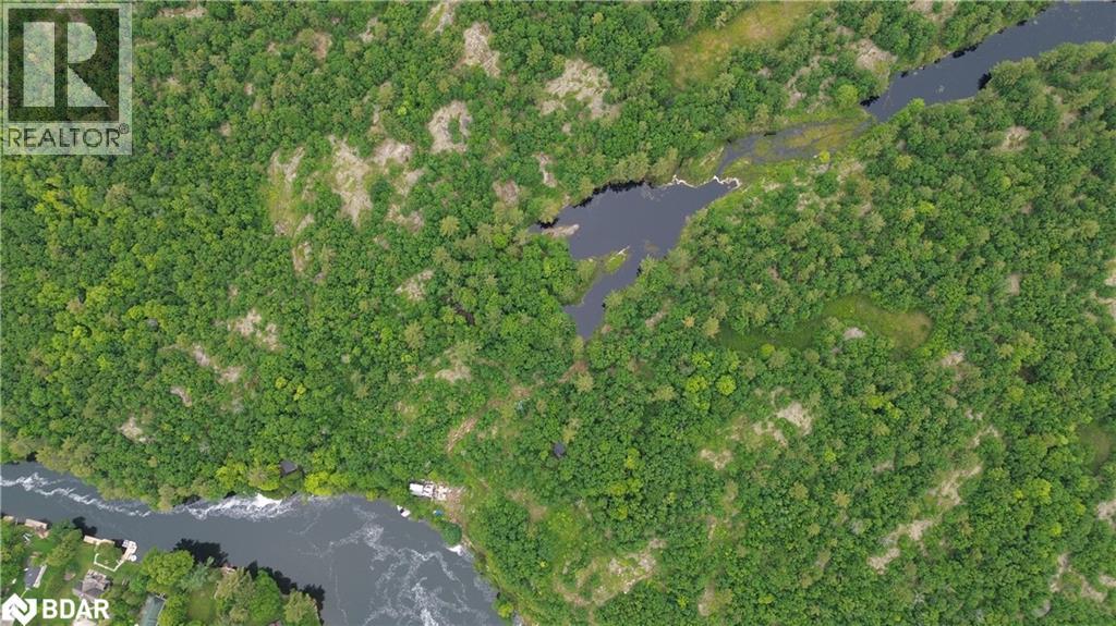 3950 Severn River Shore, Severn Bridge, Ontario  L0K 2B0 - Photo 38 - 40700195