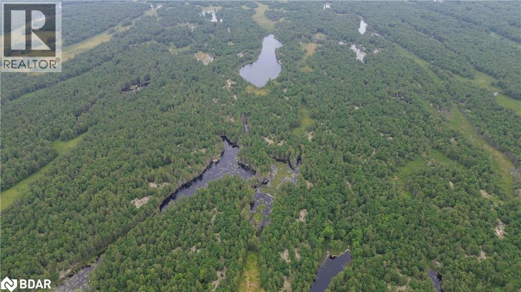 3950 Severn River Shore, Severn Bridge, Ontario  L0K 2B0 - Photo 40 - 40700195