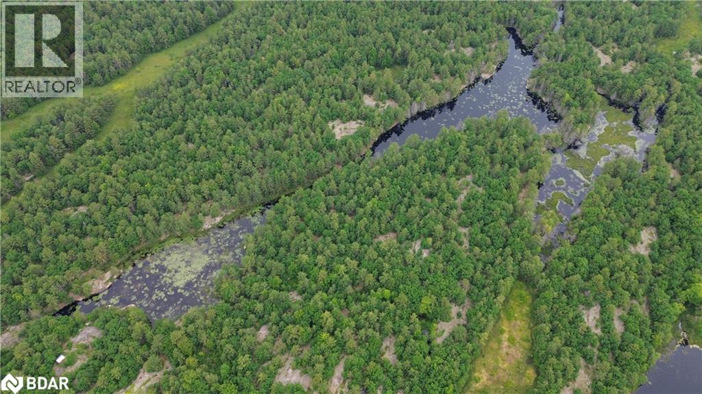 3950 Severn River Shore, Severn Bridge, Ontario  L0K 2B0 - Photo 35 - 40700195