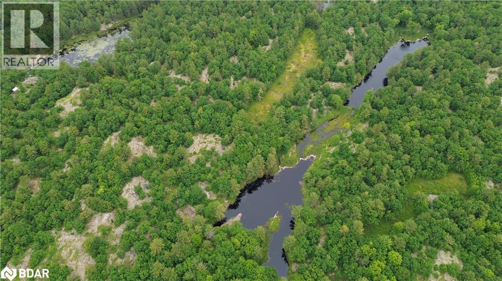 3950 Severn River Shore, Severn Bridge, Ontario  L0K 2B0 - Photo 36 - 40700195