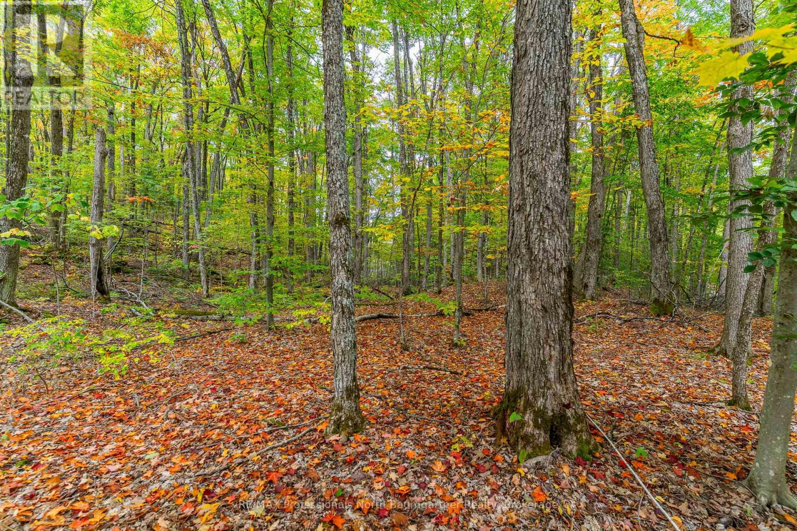 Part Lot 1 Salerno Lake Road, Highlands East, Ontario  K0M 1X0 - Photo 1 - X12432103