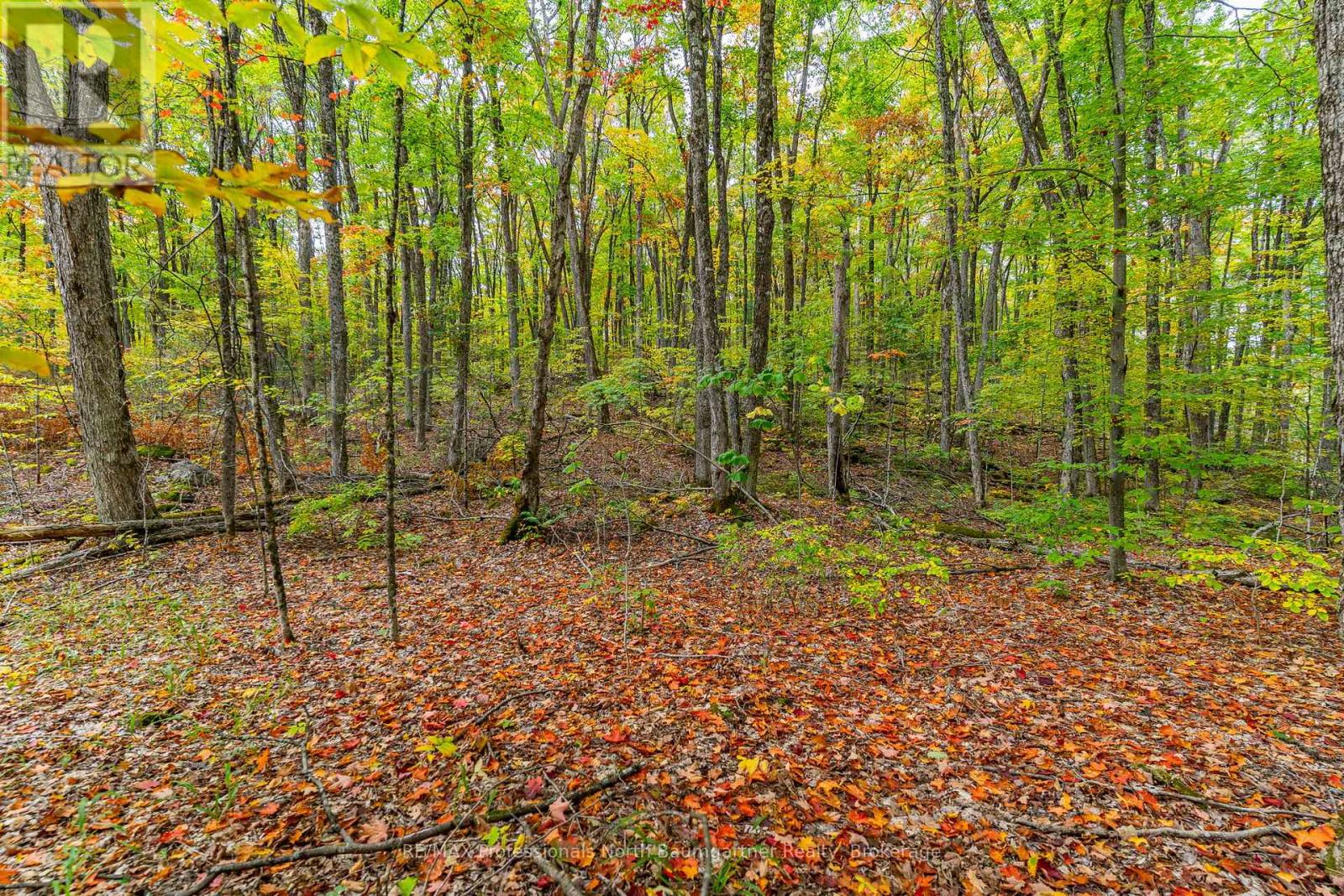 Part Lot 1 Salerno Lake Road, Highlands East, Ontario  K0M 1X0 - Photo 3 - X12432103
