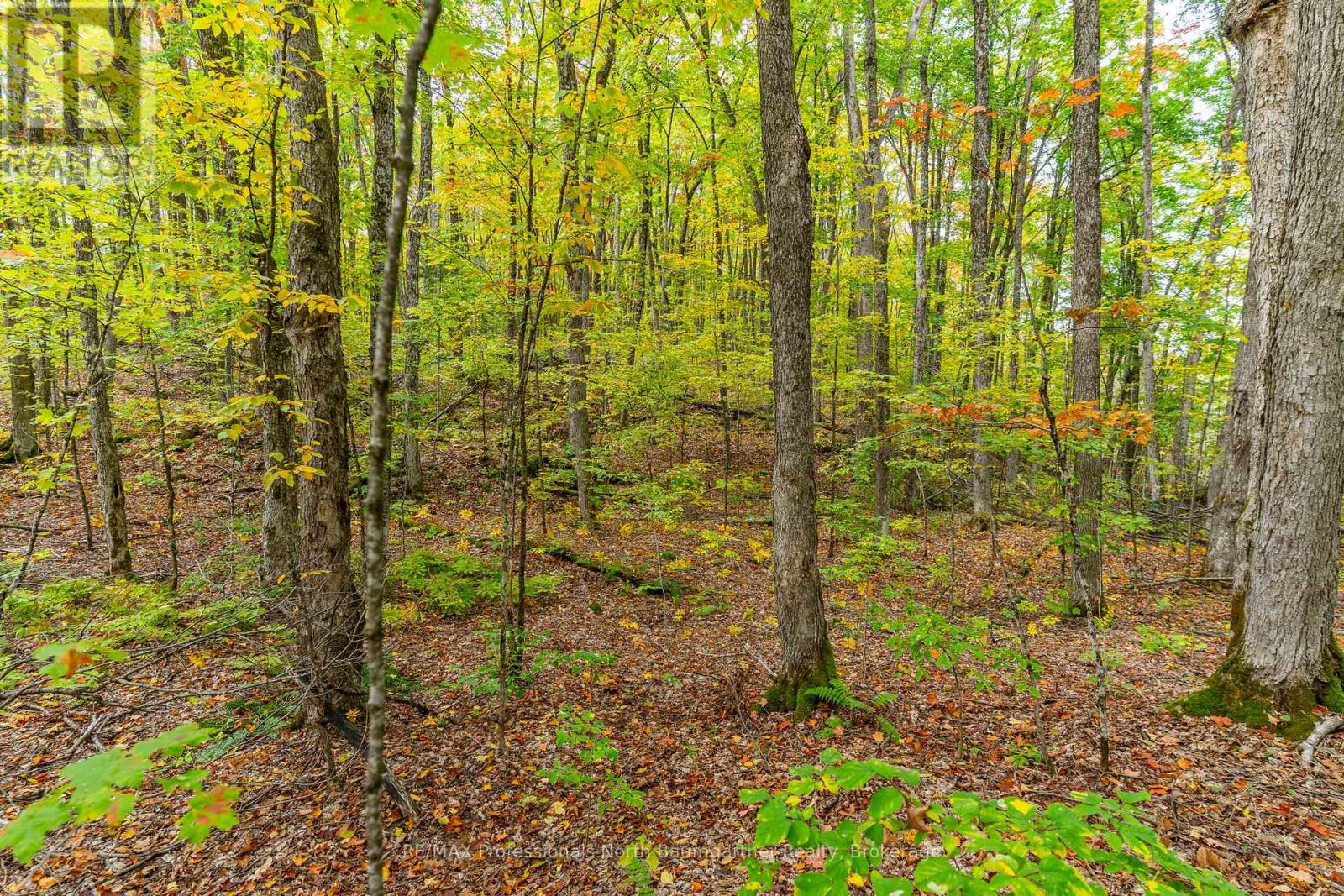 Part Lot 1 Salerno Lake Road, Highlands East, Ontario  K0M 1X0 - Photo 4 - X12432103