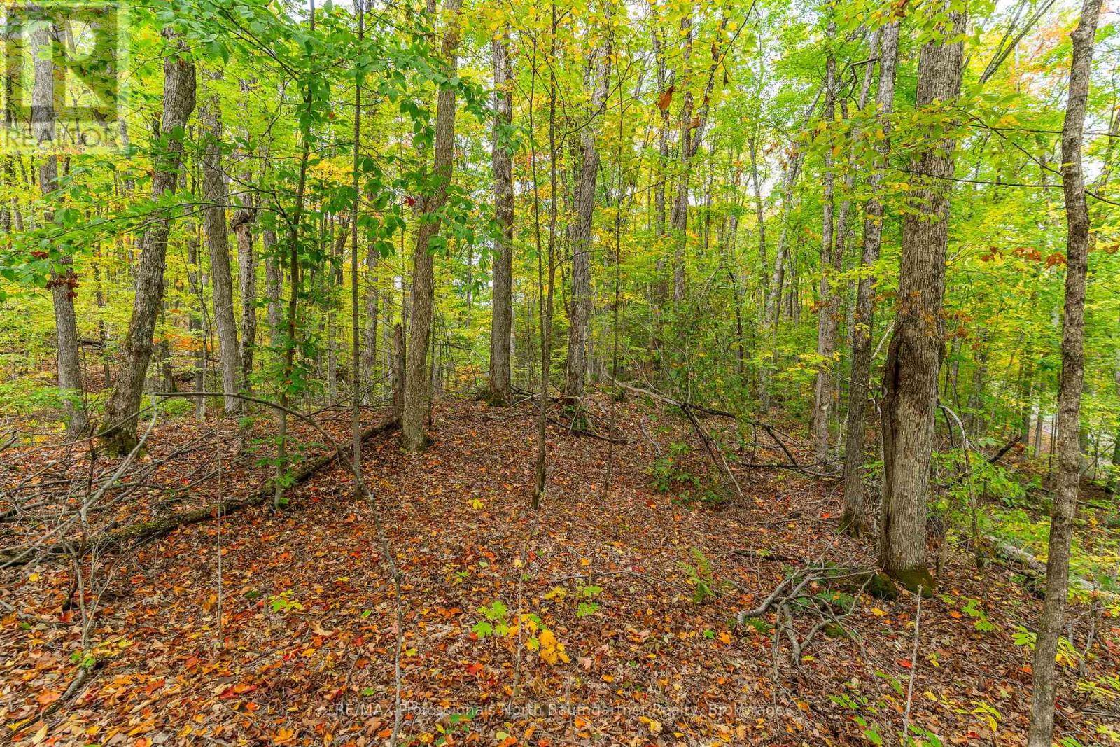 Part Lot 1 Salerno Lake Road, Highlands East, Ontario  K0M 1X0 - Photo 5 - X12432103