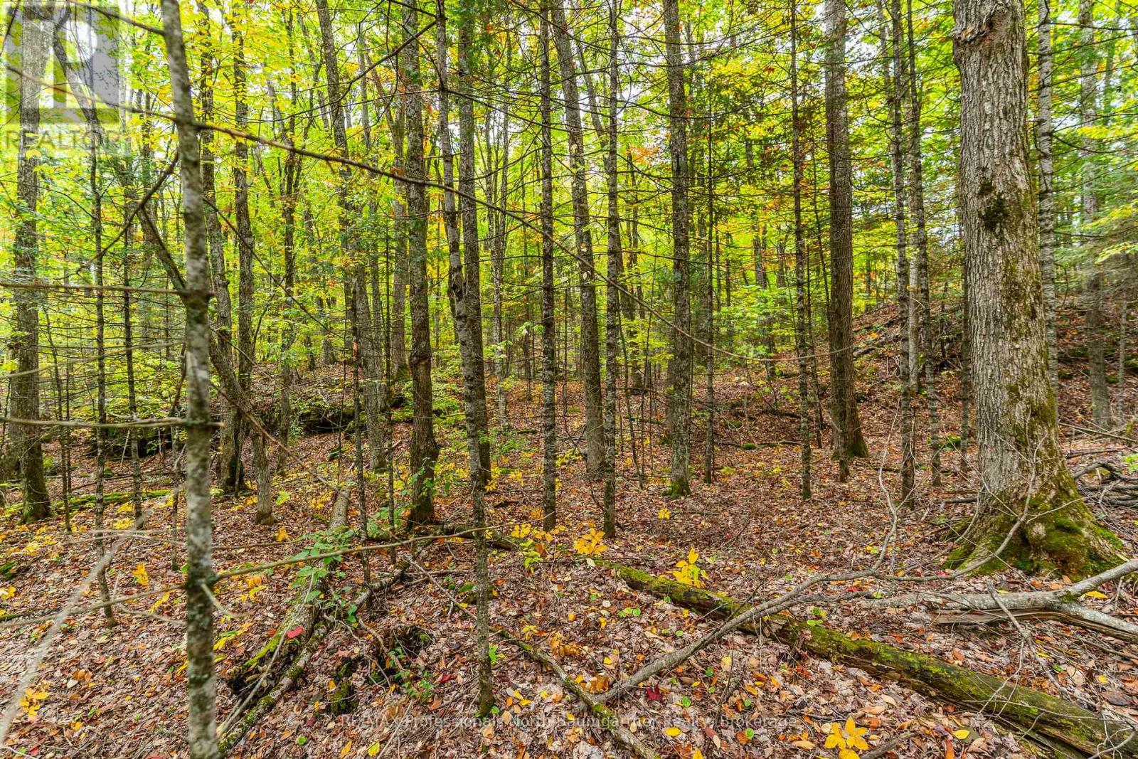 Part Lot 1 Salerno Lake Road, Highlands East, Ontario  K0M 1X0 - Photo 7 - X12432103