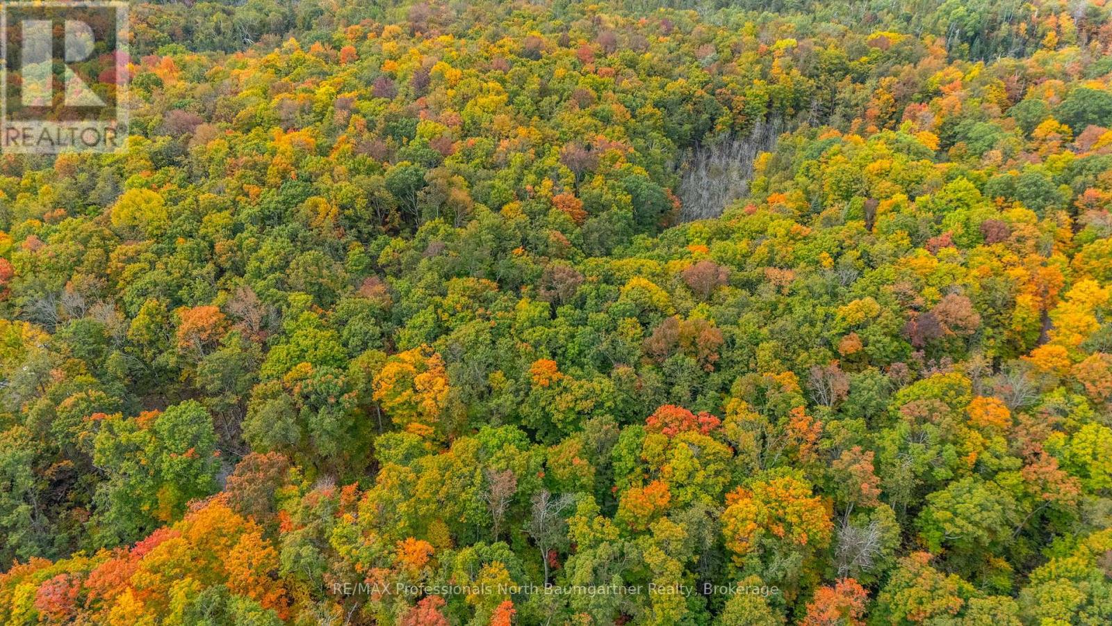 Part Lot 1 Salerno Lake Road, Highlands East, Ontario  K0M 1X0 - Photo 8 - X12432103