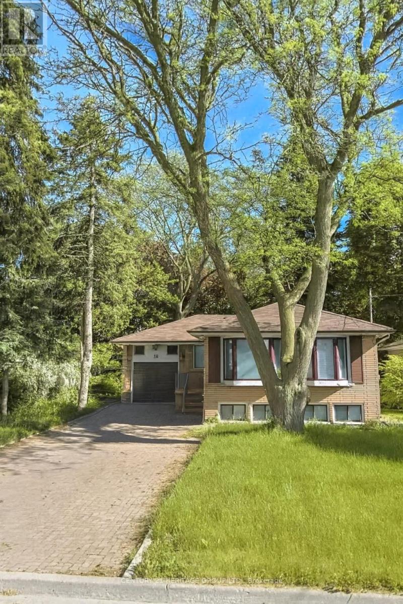 BSMT - 39 CARTIER CRESCENT, Richmond Hill, Ontario